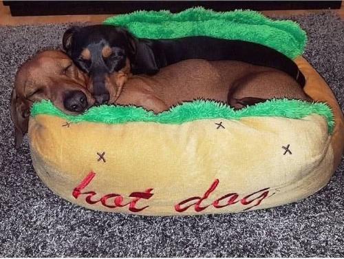 FB_IMG_1741028917528