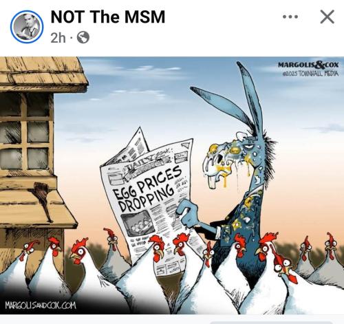 Screenshot_20250312-114610_Facebook