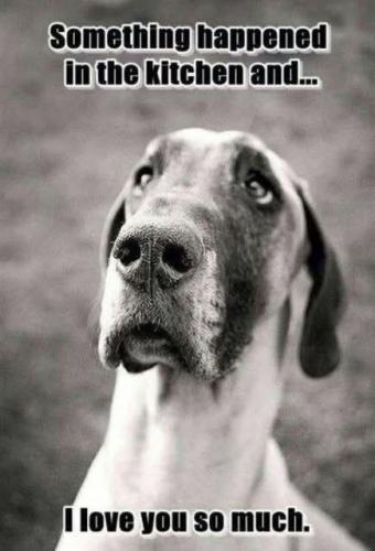 FB_IMG_1742824126201