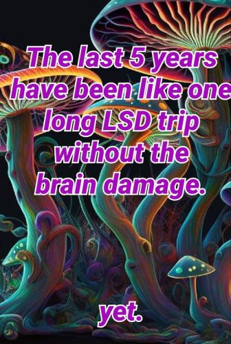 IMG_20250316_164412_954