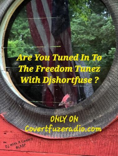 Screenshot_20250307_114327_Gallery