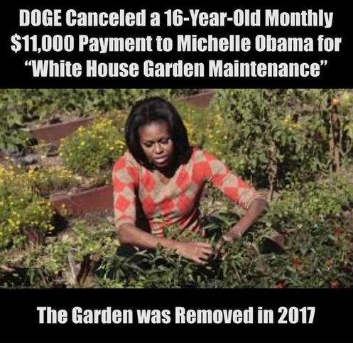 government efficiency64