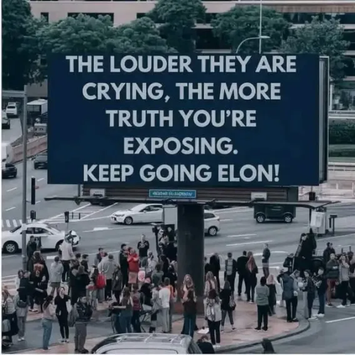 image_2025-03-11_064603250