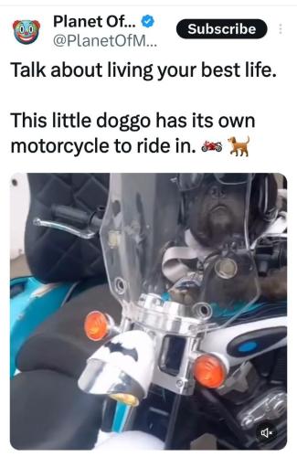 7a848a10-3546-4a4d-84fb-ab5cd0adf988