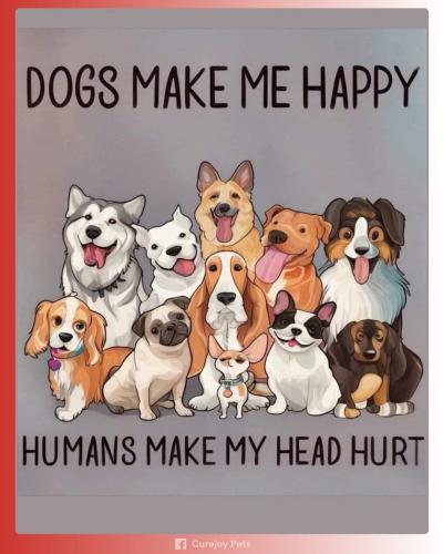 FB_IMG_1743010055805