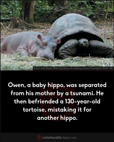 70A512A5-ACCB-443E-B8A7-BECE90B51E7C