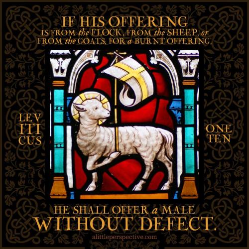 lev-1-10-WEB-pixabay-9x