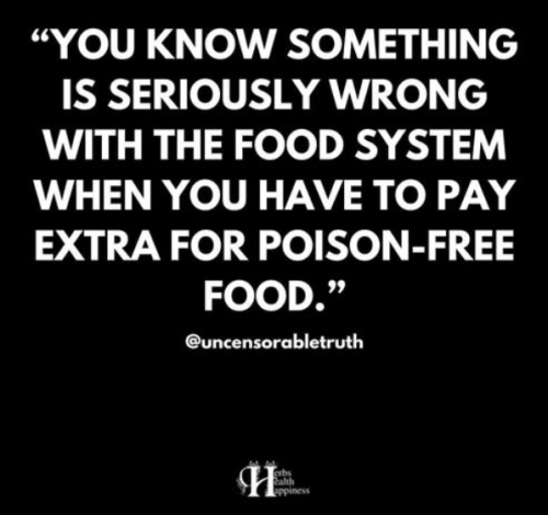 Screenshot 2025-03-29 184234