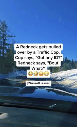 FB_IMG_1741138124696