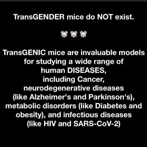 FB_IMG_1741453229084