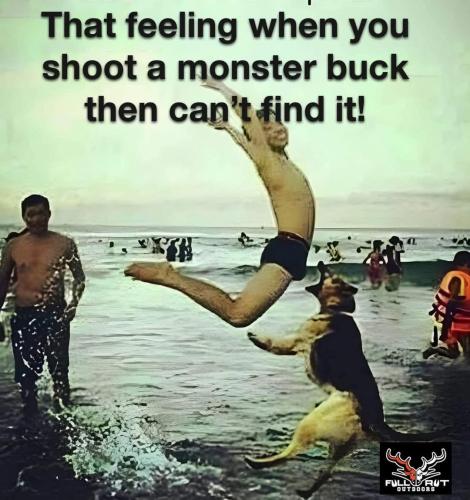 FB_IMG_1743017549802