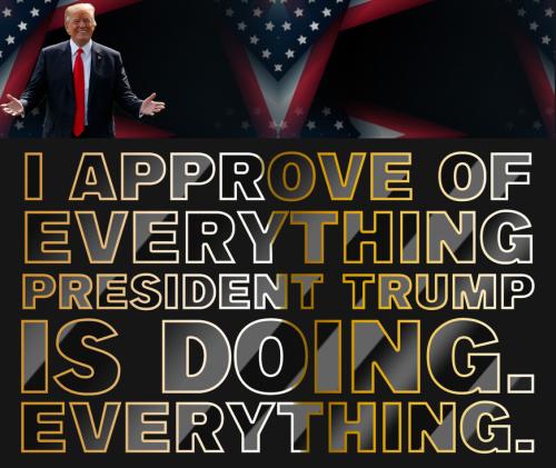 I approve of everything President Trump is doing