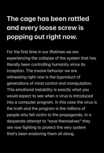 image_2025-03-12_060308526