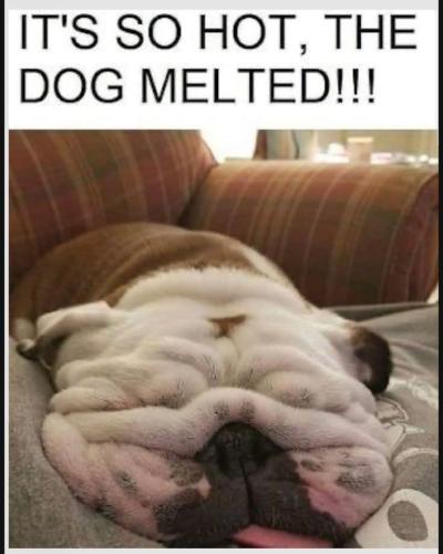 FB_IMG_1742406759400