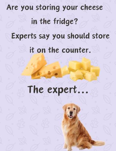 D20551B0-057B-40ED-8FB0-DB5AD787D6F8