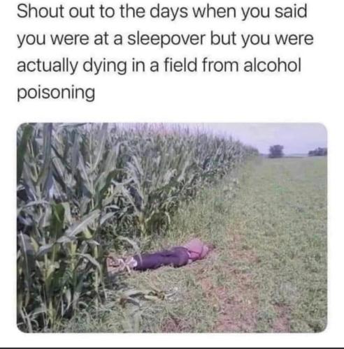 BABE19A5-64F4-4EA0-8B44-F3BC5CCF7DDF-17349-000024193E9E9867