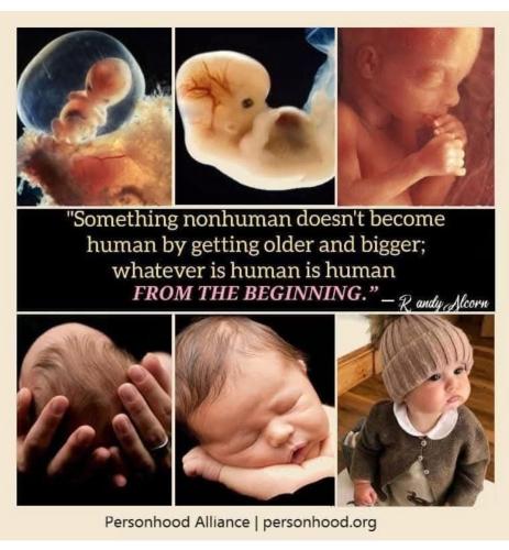 Screenshot_20250312-192058_Facebook