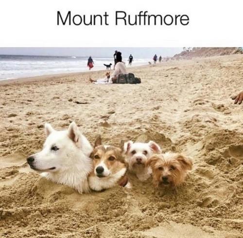 FB_IMG_1741802982775