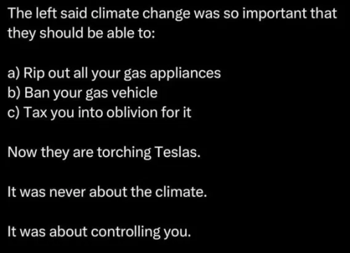 image_2025-03-13_062809804