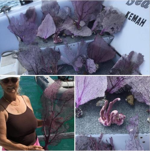 33A53532-2978-4959-AE46-8DB2C7B14C9D