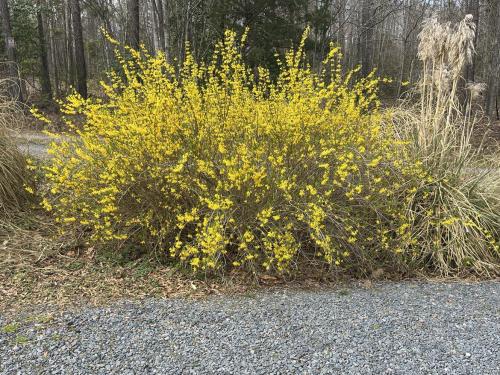 483618628_1352473905988427_6449918392563961684_n