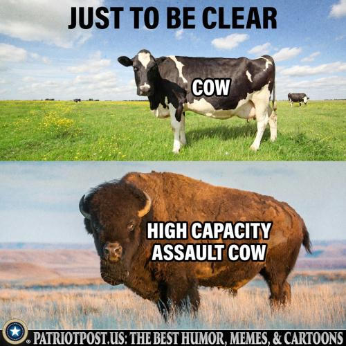 Assault Cow