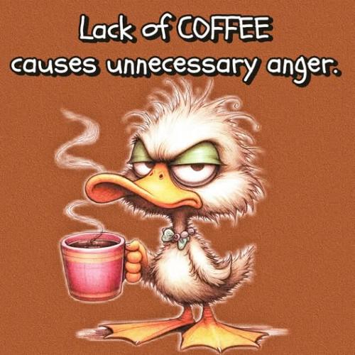 486134427_503004359549444_811790808594478878_n