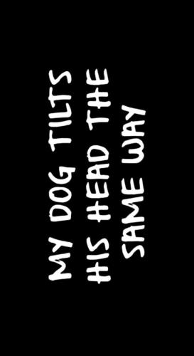 IMG_20250308_142550_835