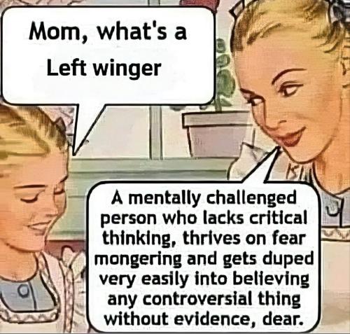 Mom what's a left winger.1024px