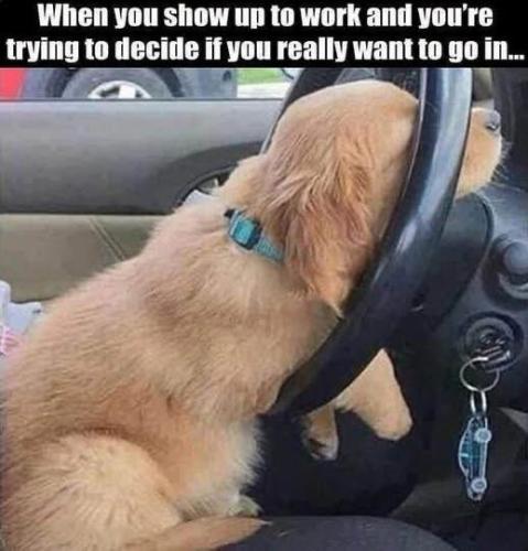 CE0BBD1D-1605-4066-A35A-0E920ED8499D