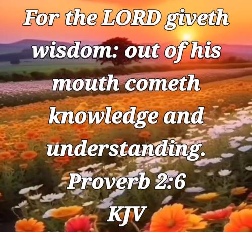 3a460f43-77ec-4dc3-a5b8-34c654c04970