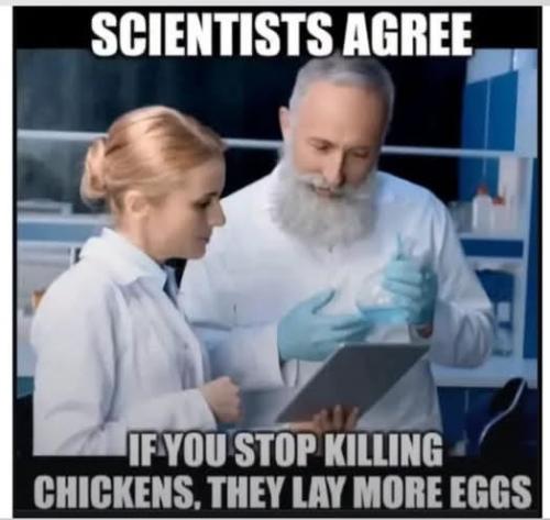 Screenshot_2025-03-18-10-46-51-89_a23b203fd3aafc6dcb84e438dda678b6