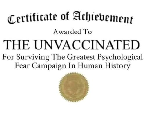 IMG_20250319_171920_674