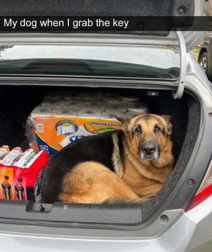 FB_IMG_1741385612334