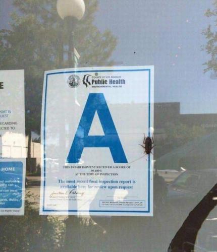 image_C1E52BF5-60CF-41D2-A79E-3B32A4AE9C4C