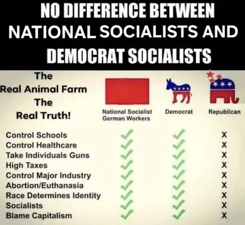 demotards_same difference