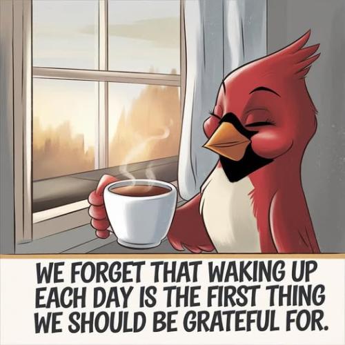 481764128_599488043071623_1980621272895071146_n