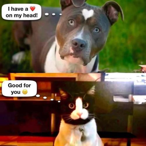 FB_IMG_1743356021482