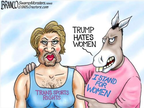 01fea053855b6b562ccb961d29d4a426_768x0