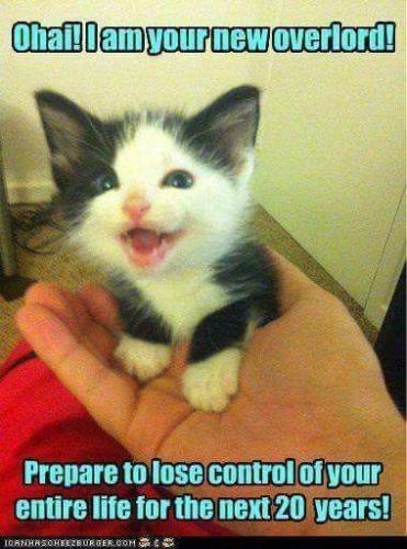 3fb198add5555342a922e3fd2c1017eb