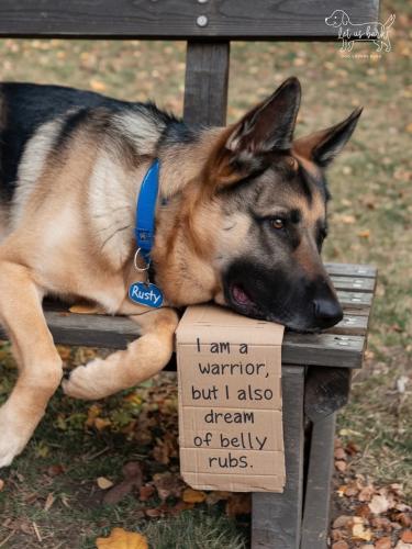 FB_IMG_1743021077706