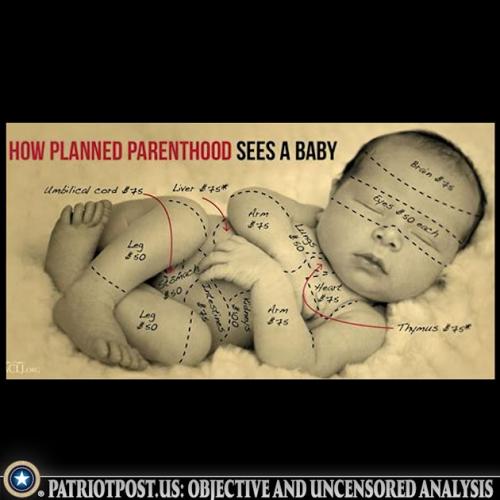 01JPSZ7A91C4MA54Q7W4Z3QRZ0