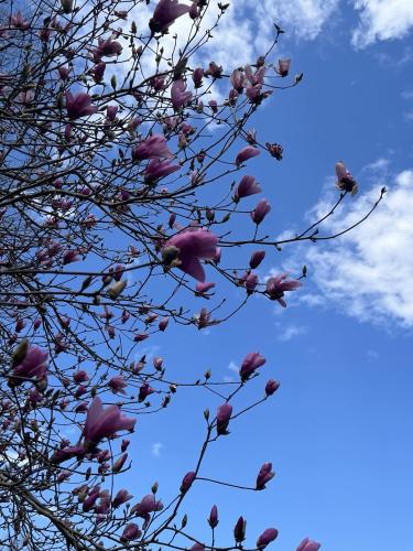 483346996_2271334716658590_8057853728312614055_n