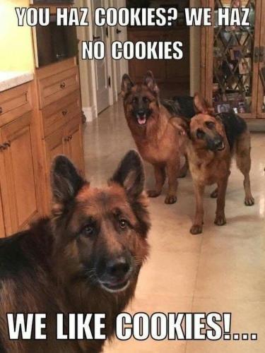 FB_IMG_1741385375265