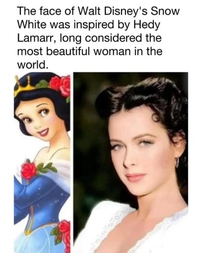 a538a8ff-27f2-46c3-affe-6dc1612e3c28