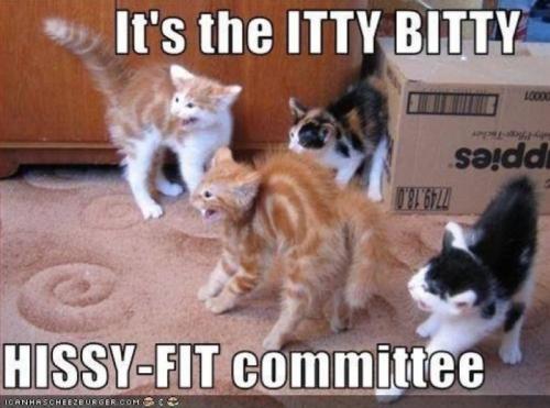 Screenshot_20250319_145015_Gallery