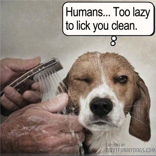 FB_IMG_1741114602963