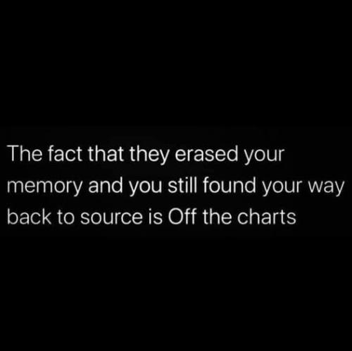 482250773_9285658538182615_2813114172978541516_n
