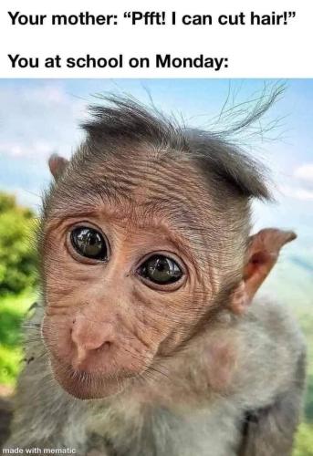 2B6A4190-258C-460D-B648-79E345D0C5EA