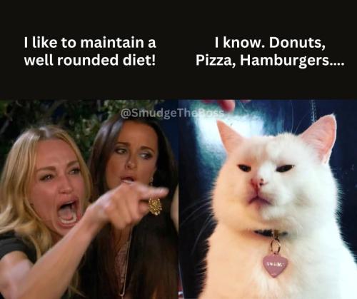 FB_IMG_1741297985171